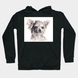 Chihuahua Hoodie